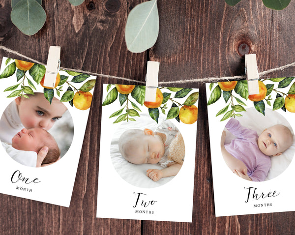 First Year Photos Banner Template, Printable Little Cutie First Birthday Monthly Photo Banner, 12 Months Photos, Instant Download Templett