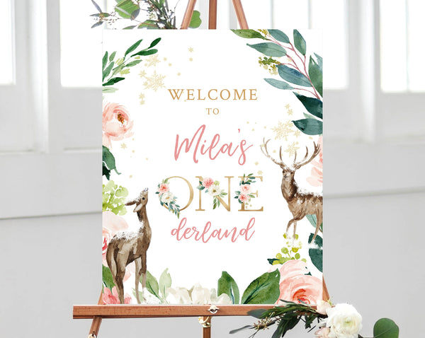 Winter Onederland Welcome Sign Template, Christmas Birthday Sign Printable, Winter 1st Birthday Welcome Sign, Templett, B09D