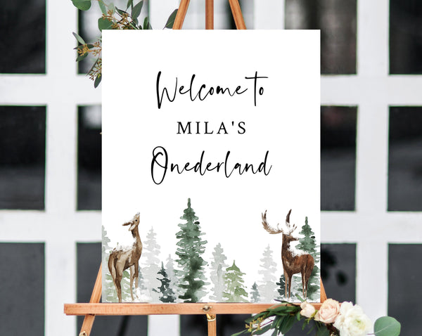 Winter Onederland Welcome Sign Template, Christmas Birthday Sign Printable, Winter 1st Birthday Welcome Sign, Templett, B09D